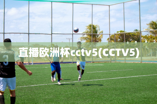 直播欧洲杯cctv5(CCTV5)